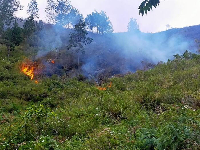MAPEL Desak Kepolisian