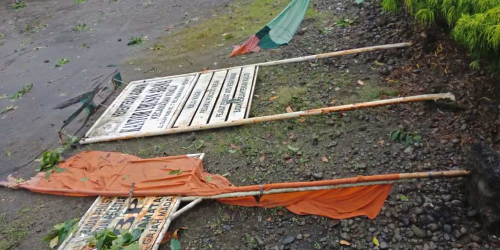 Rumah Warga di Kuala Langkat Tertimpa Pohon Tumbang