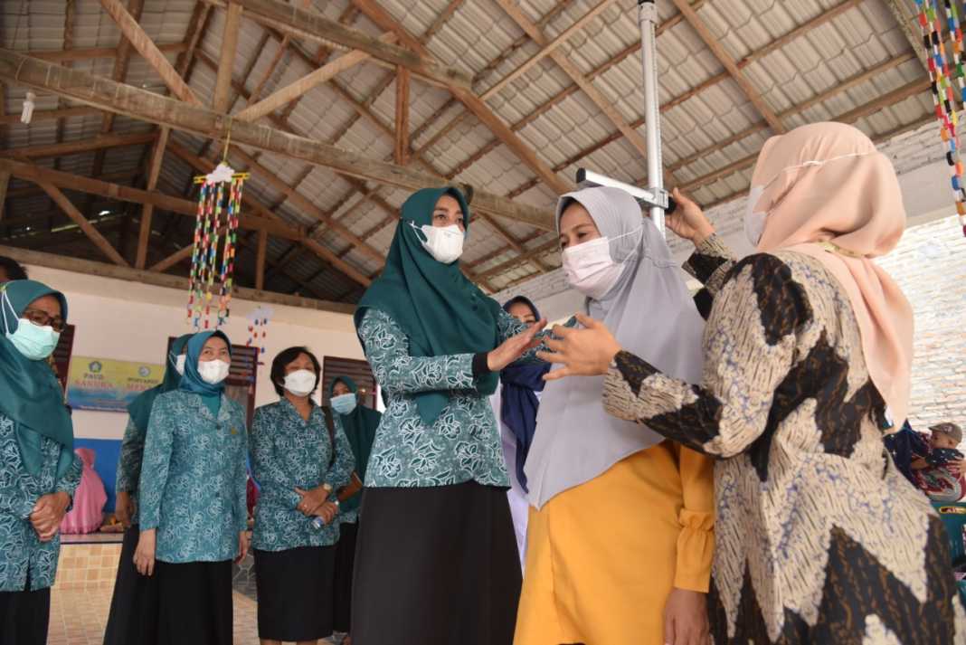 Ketua TP PKK