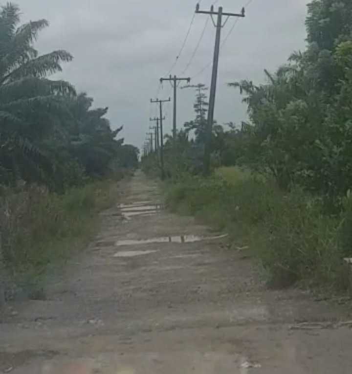 Pemkab Langkat