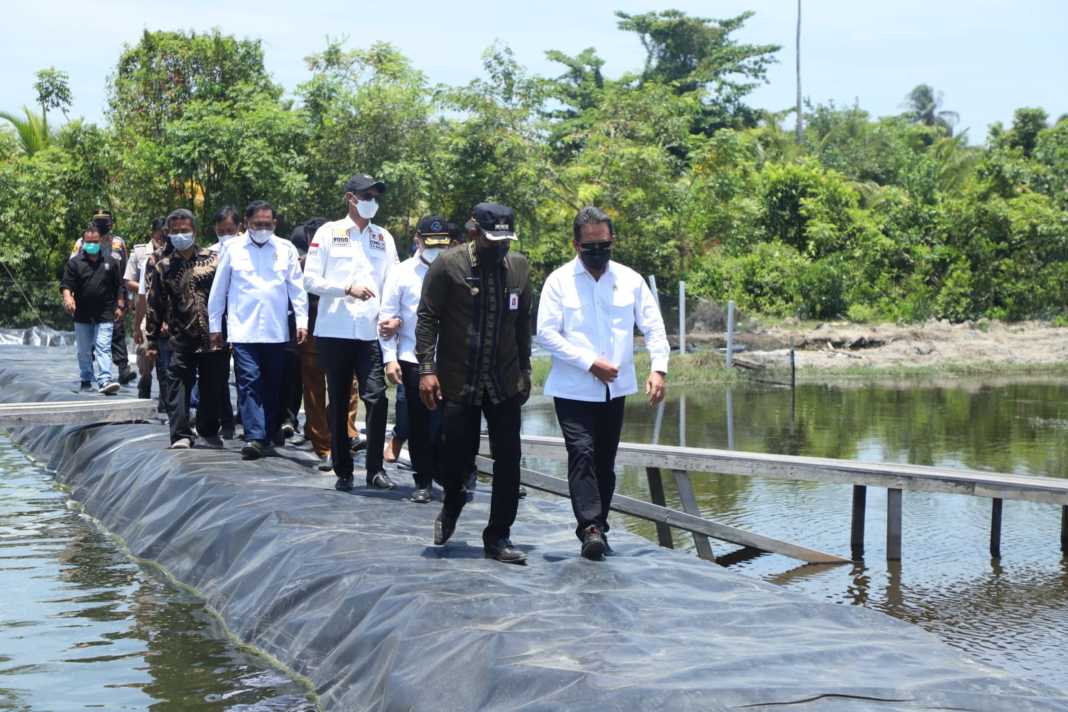 Tinjau Klaster Tambak Udang Vaname