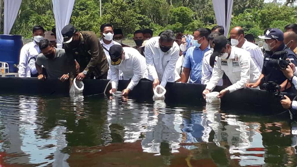 Tinjau Klaster Tambak Udang Vaname