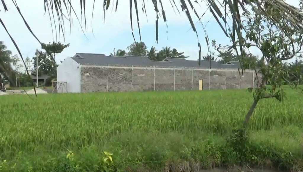 Lahan Sawah Disulap Menjadi Lahan Perumahan Villa Loly