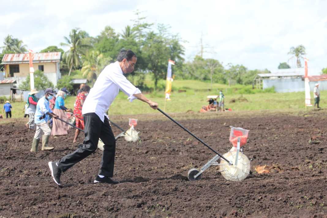 Tanam Jagung di Sorong