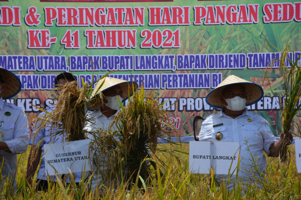 Panen Raya di Langkat