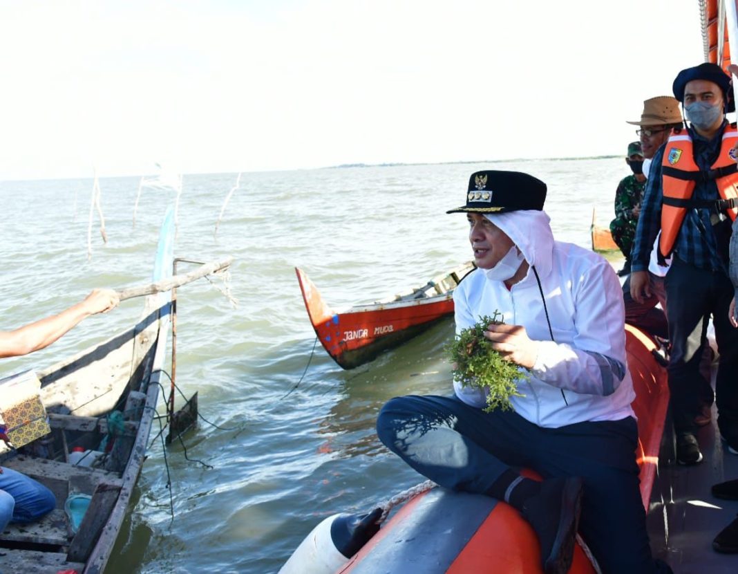 Tinjau Budidaya Rumput Laut