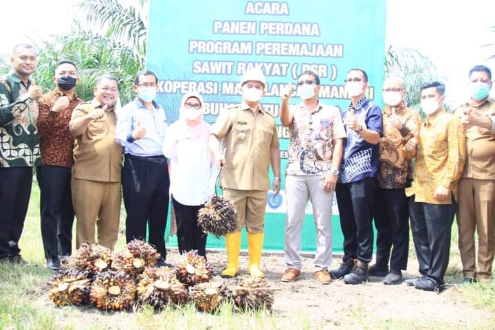 Bupati Labuhanbatu