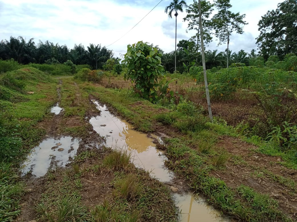 Batas Kebun Bekala – Deliserdang