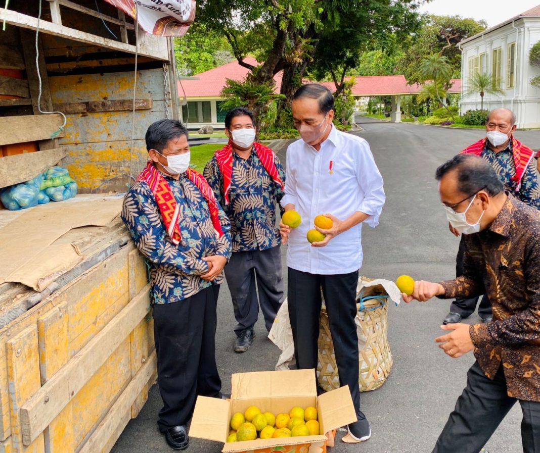 Presiden Jokowi Terima Perwakilan Warga Liang Melas Datas di Istana