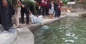 STKIP Al Maksum Langkat