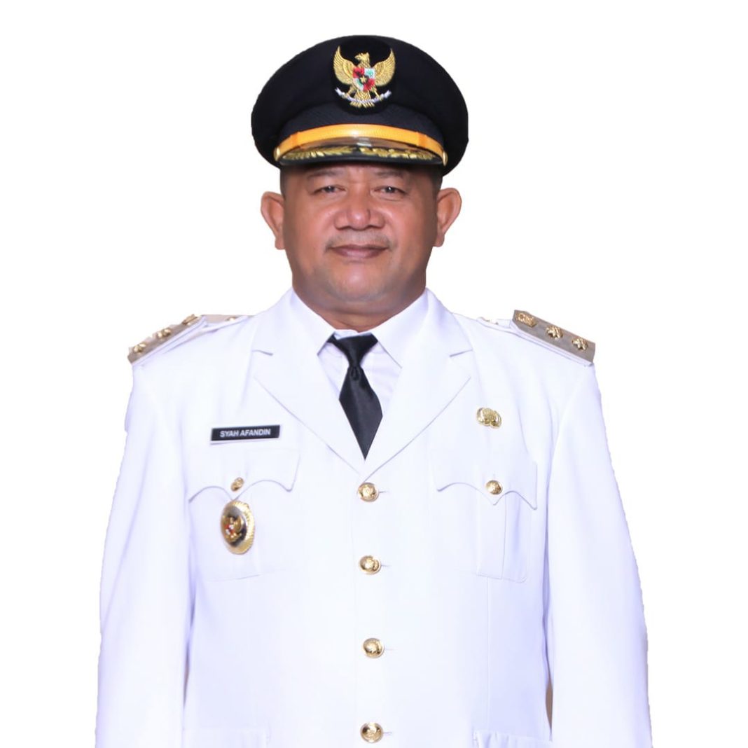 PC PMII