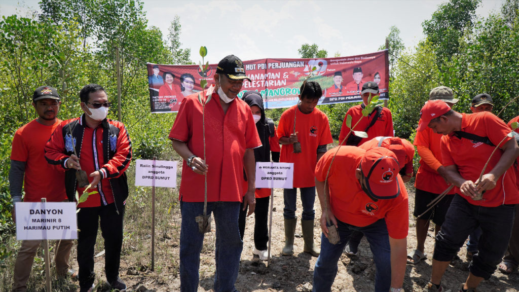PDIP Tanam Mangrove di Langkat