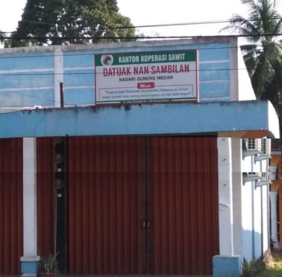 Kisruh Koperasi Sawit
