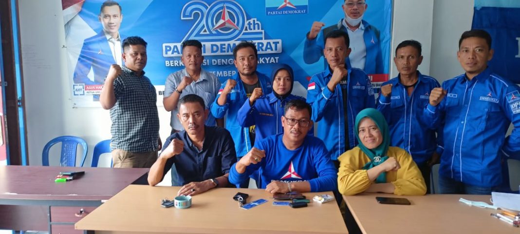 Demokrat Batu Bara