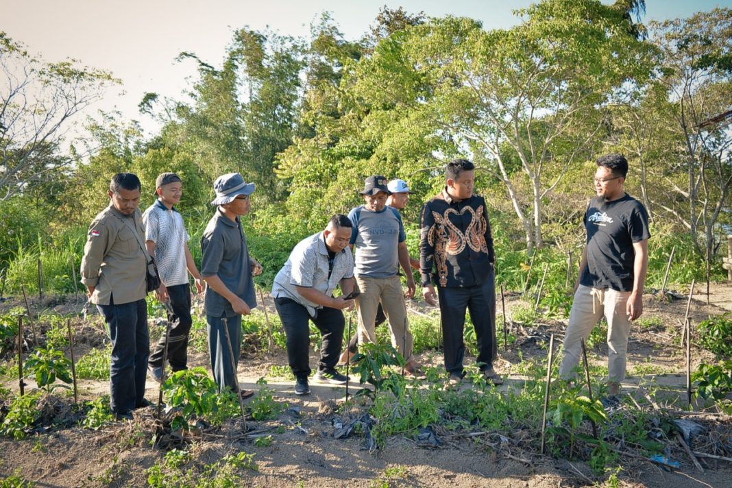 100 Hektar Kebun Kopi di 2022, Ketua Fraksi Gerindra Agam Gandeng Perusahaan Eksportir Kopi