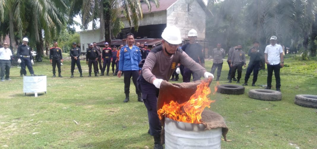 PTPN I Aceh