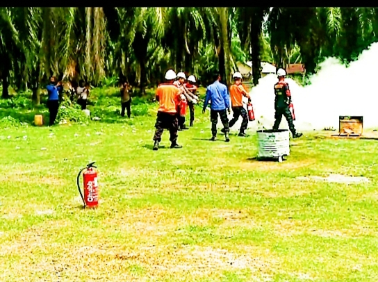 PTPN I Aceh