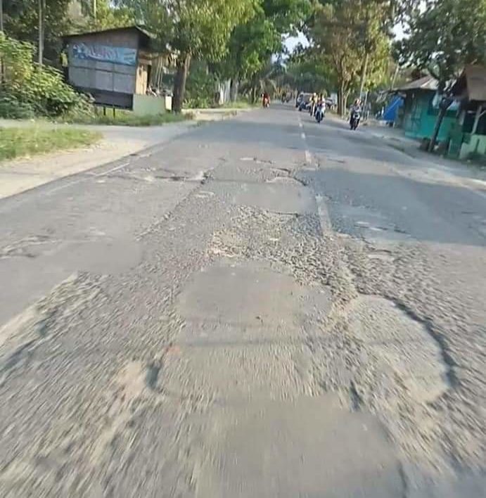 Plt Bupati Langkat