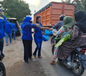 Demokrat Batu Bara