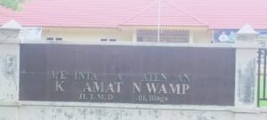 Aliansi Mahasiswa Peduli Wampu