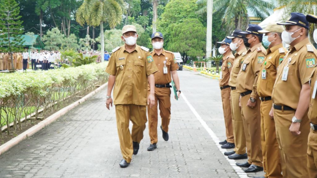 Plt Bupati Langkat