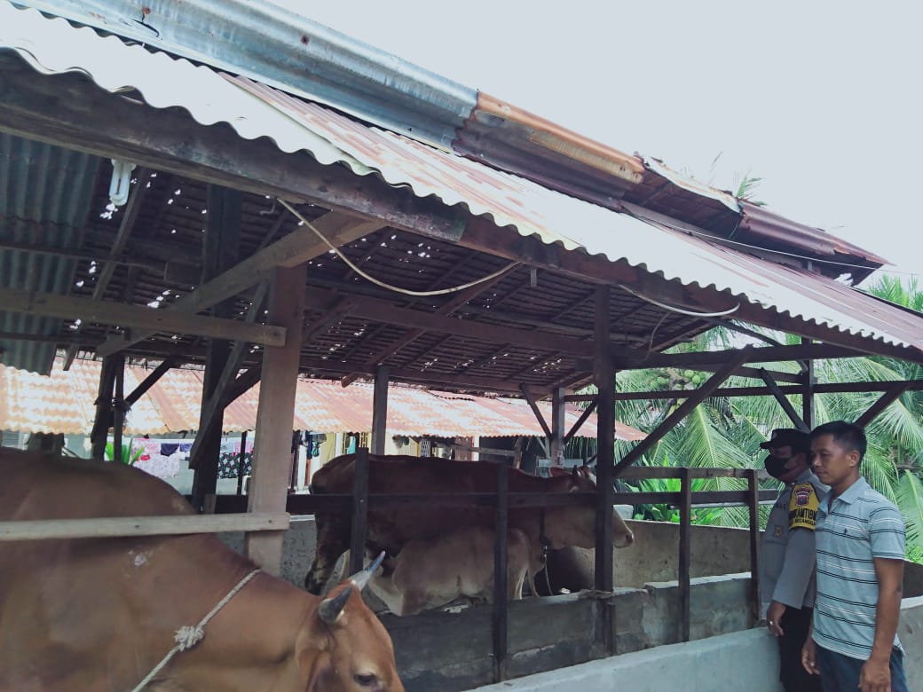Wabah PMK di Langkat