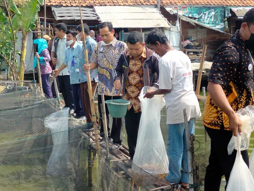 SDM PKH Kecamatan Pekalongan Barat