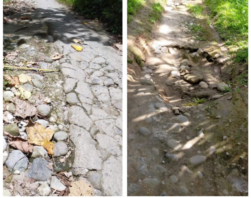 Kades Parangguam Langkat