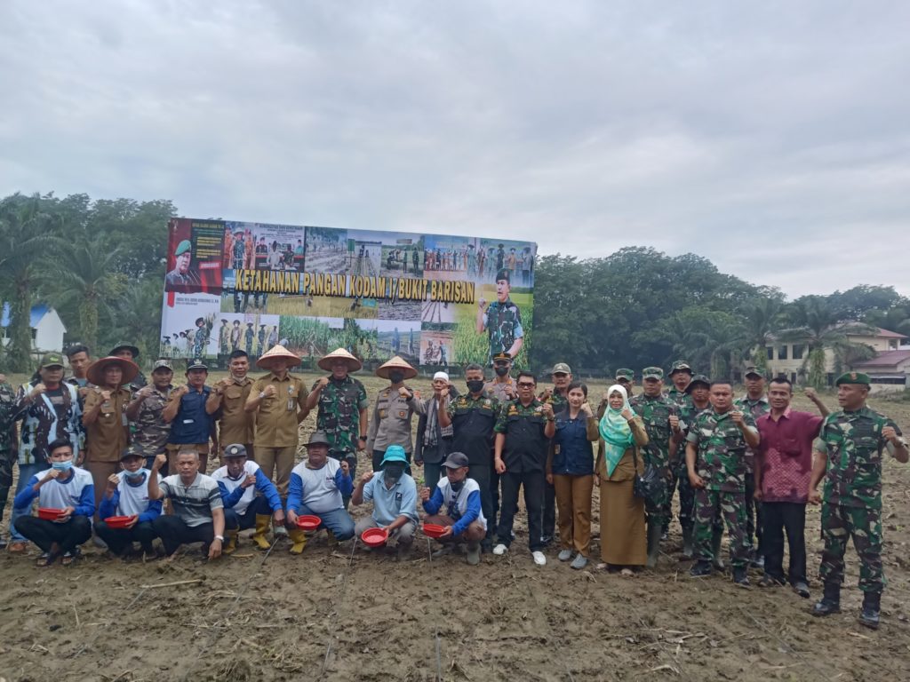 Ketahanan Pangan Nasional