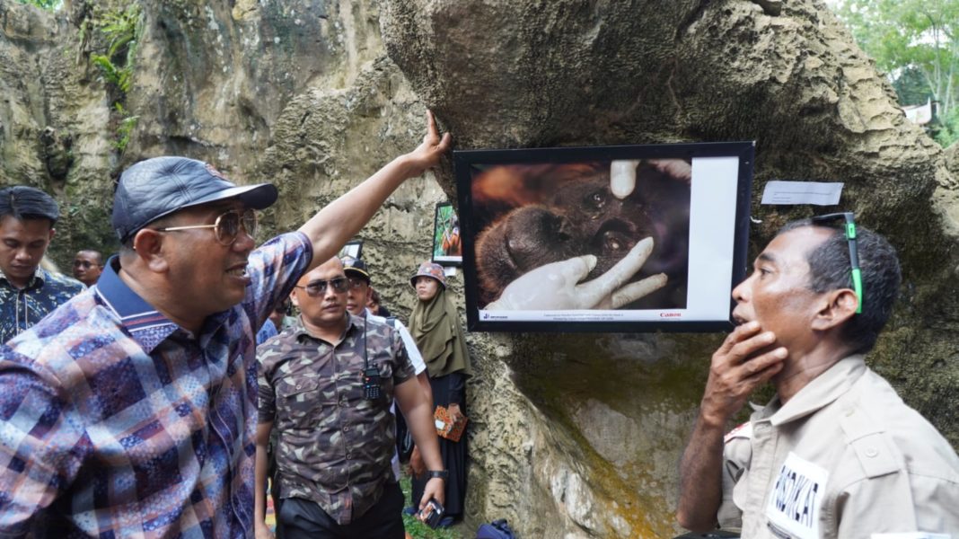 Festival Orang Utan di Bukit Lawang