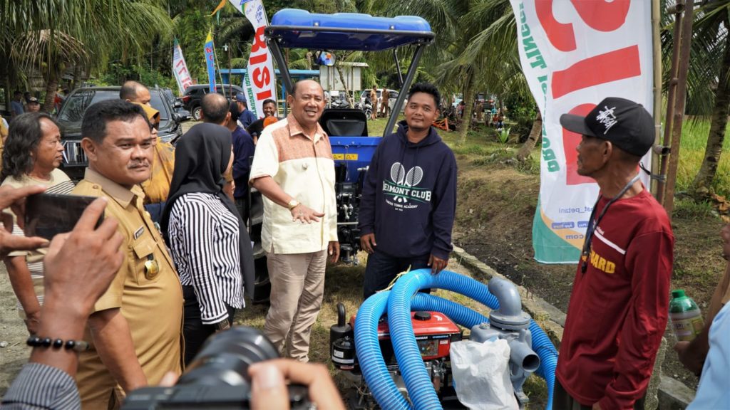 Panen Raya Padi di Langkat