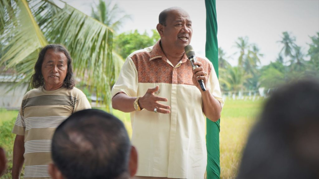 Panen Raya Padi di Langkat
