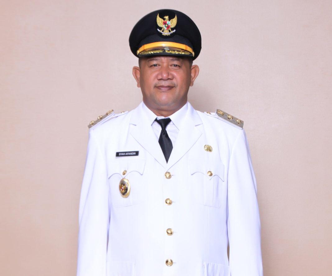 Plt Bupati Langkat Instruksikan Perbaiki Jalan Rusak dan Berlubang di Kecamatan Binjai 