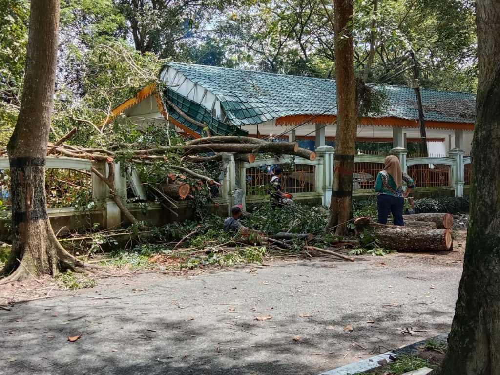 Hujan Deras dan Angin Kecang di Langkat