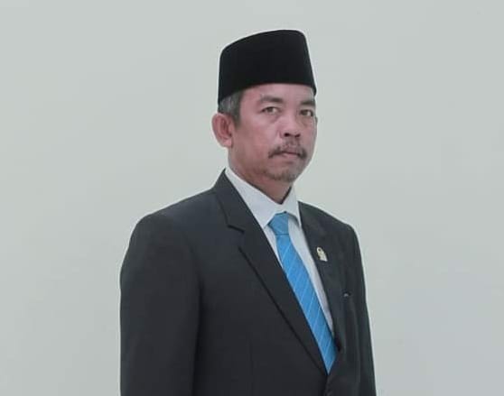 Syah Afandin, DPRD Sarankan Plt Kadis PUPR Langkat Diganti