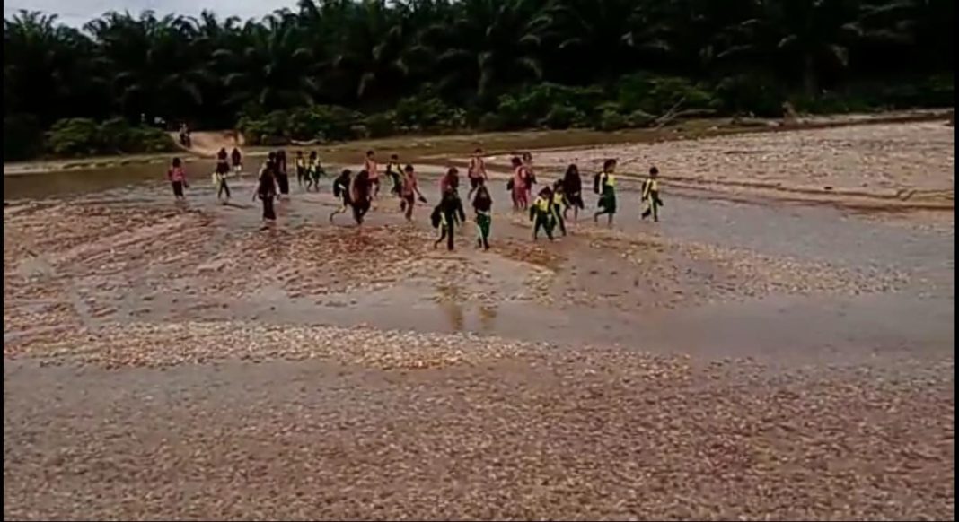 Anak SD di Langkat