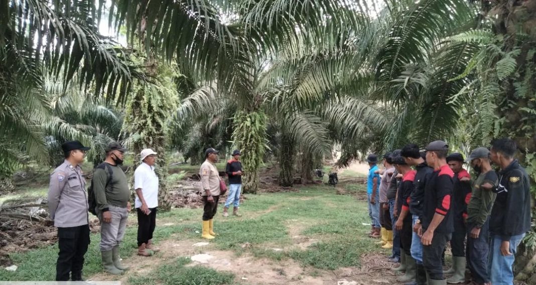 Cegah Kebakaran Hutan dan Lahan