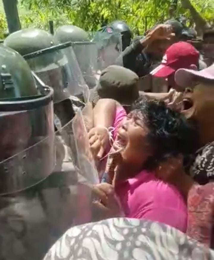 Penggusuran Tanah Adat Mbal-mbal Petarum