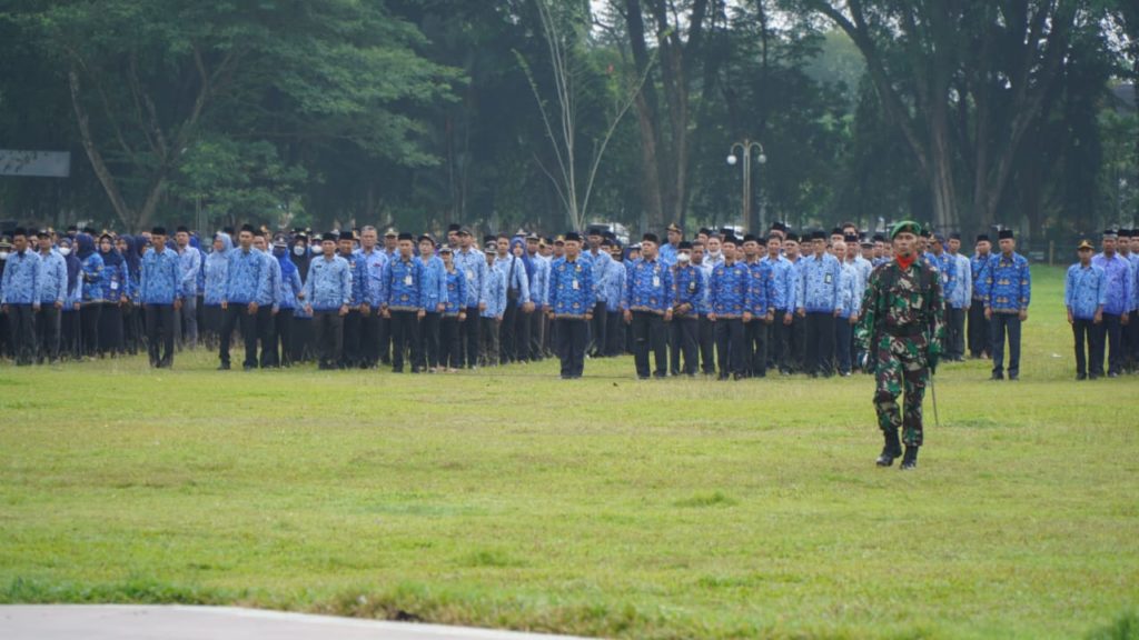 Plt Bupati Langkat