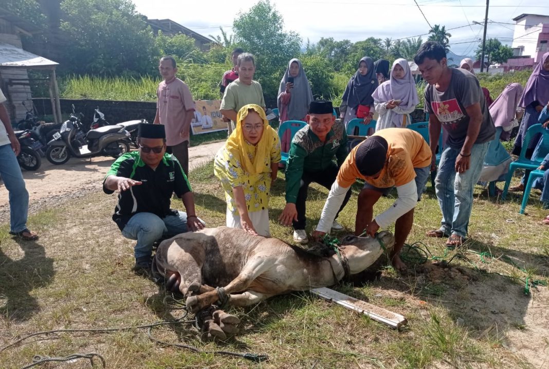 Fitri Krisnawati