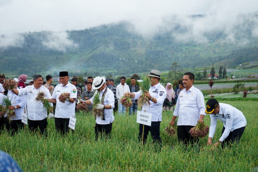 Bupati Solok 