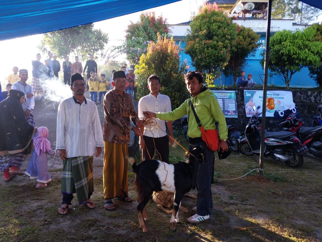 BPODT Serahkan Hewan Kurban ke Masjid