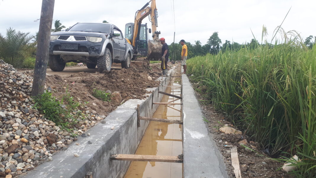 Pembangunan Irigasi