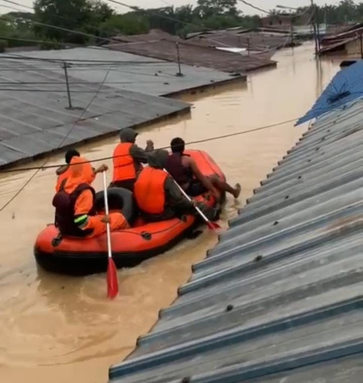 WhatsApp Image 2025-11-29 at 14.16.40