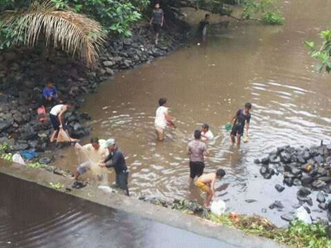 Diduga Tercemar Limbah di Sungai Damuli