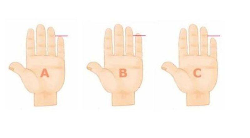 Tinggi jari kelingking tangan kiri bisa juga digunakan untuk memprediksi kepribadian seseorang. Cek di sini.