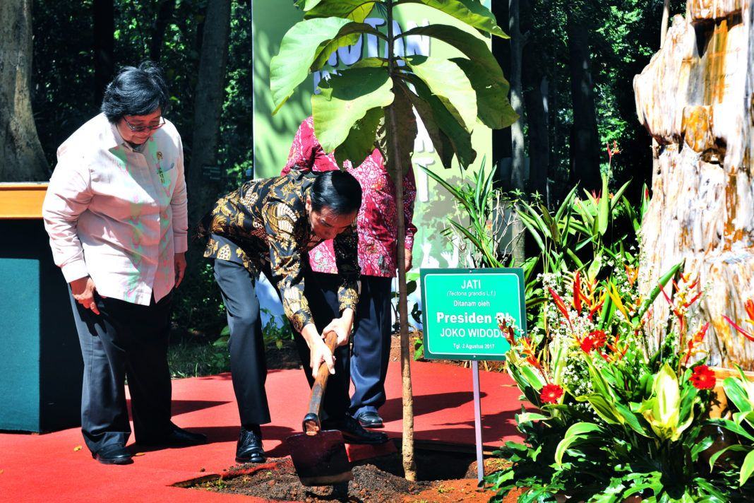 Foto: Presiden Jokowi didampingi menanam pohon jati dalam acara Peringatan Hari Lingkungan Hidup Tahun 2017, di Manggala Wana Bhakti Kementerian LHK, Jakarta, Rabu (2/8).