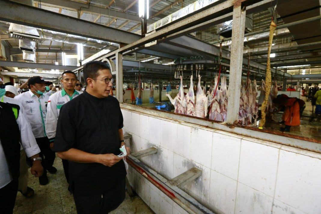 Foto: Menag Lukman tinjau tempat percontohan pemotongan hewan di Muasihim.