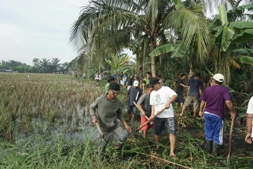 Foto: Warga Kecamatan Medan Labuhan bergotong-royong membersihkan Parit Siluang di Kelurahan Besar, Minggu (15/10).
