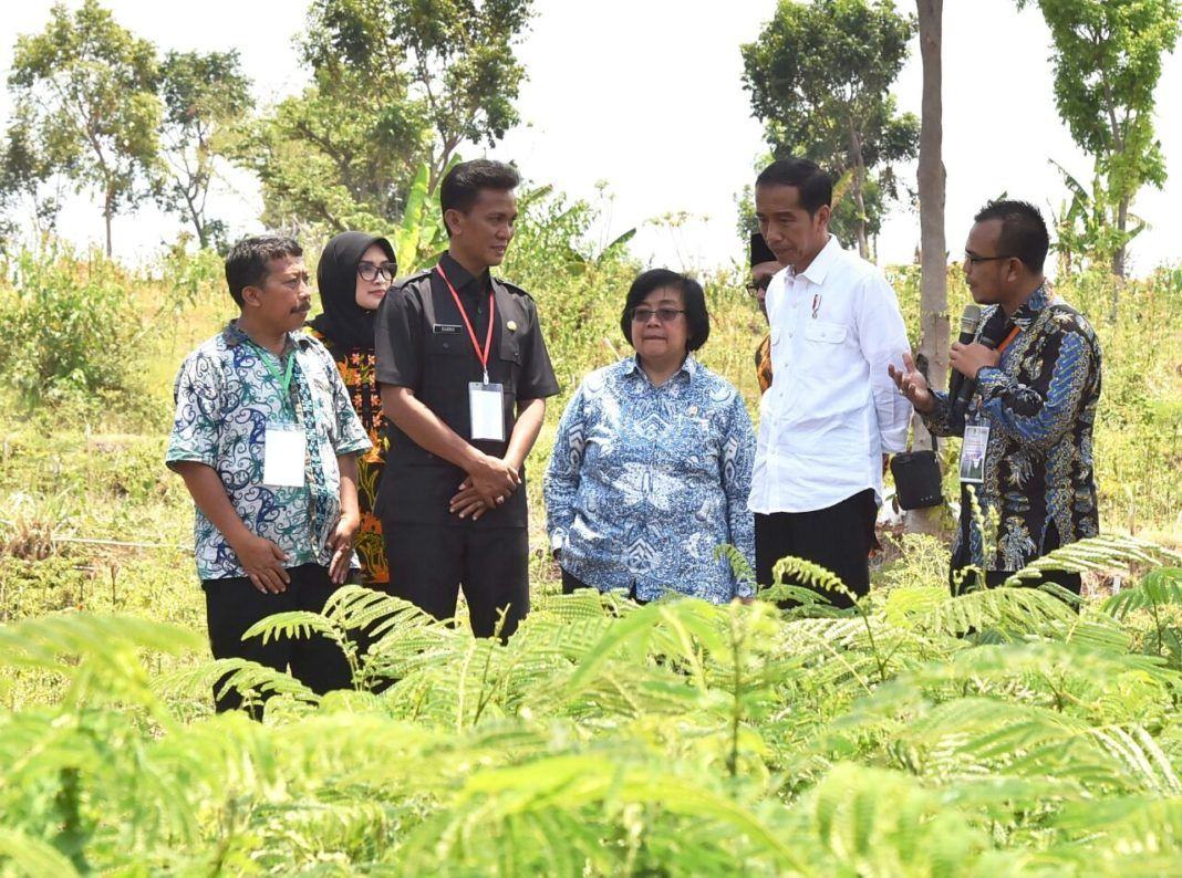 Foto: Presiden Jokowi saat meninjau lokasi dalam acara Perhutanan Sosial untuk Pemerataan Ekonomi, di Desa Brani Wetan, Kecamatan Maron, Kabupaten Probolinggo, Jawa Timur, Kamis (2/11).